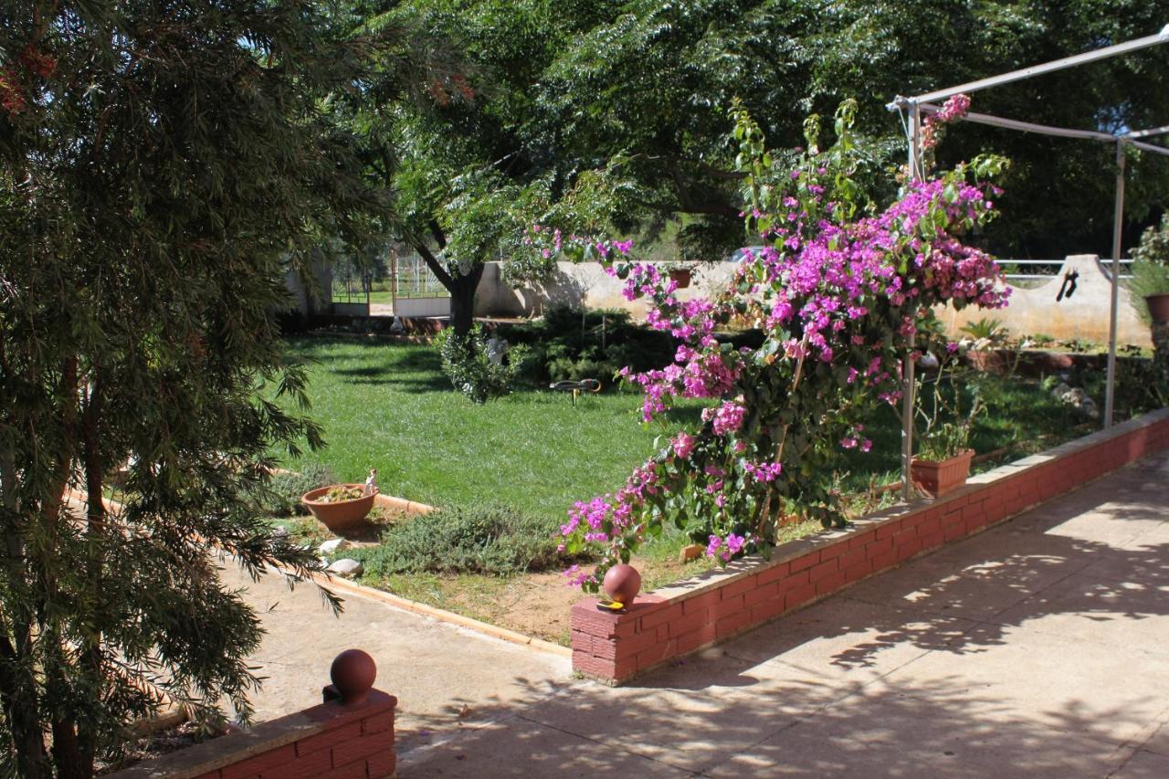 Apartments For Families With Children Privlaka, Zadar - 5747 Eksteriør billede